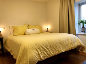 d-Keizer_BedandBreakfast_ensuite_masterbed_with_window_view_front_winter_landscape