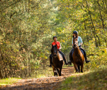 D-Keizer Bed & Breakfast Activities - Horseback Riding